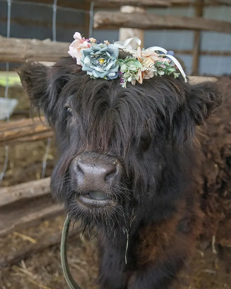 Article Header Image