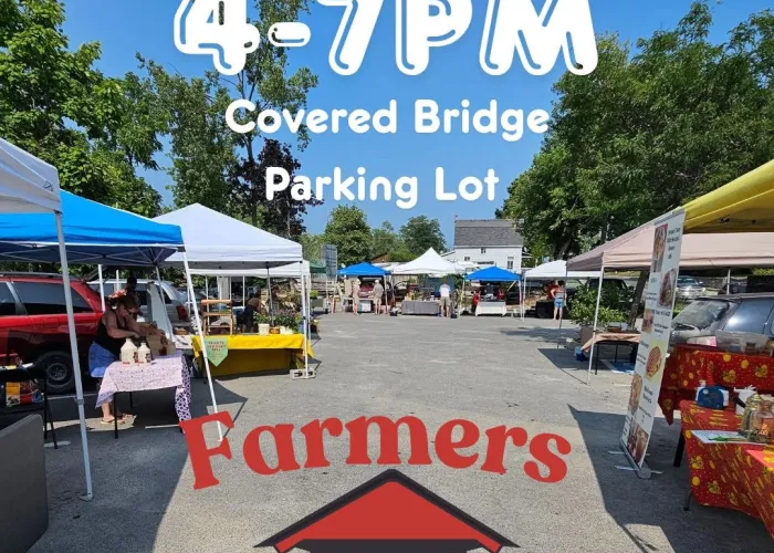 Outdoor market, stalls, cement path, event details